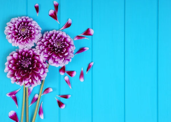 Bloemen op blauw geschilderde houten planken. — Stockfoto