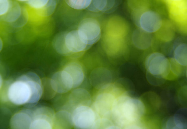 Зеленый размытый фон
