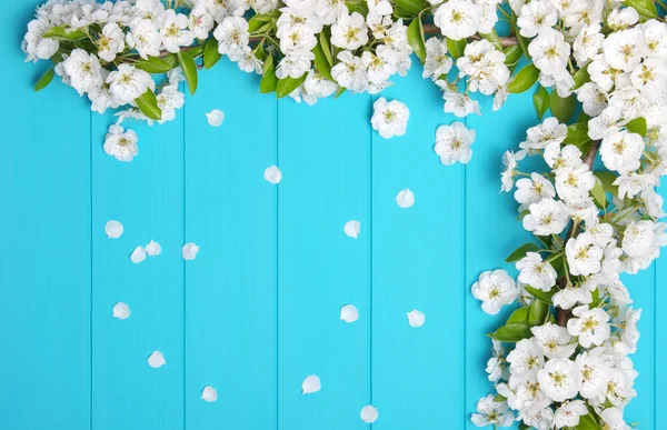 Fiore su sfondo di legno blu — Foto Stock