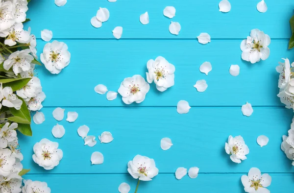 Spring blossom on blue wood — Stock Photo, Image