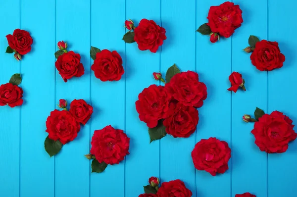 Rote Rosen Blumen auf blauem Holz. — Stockfoto