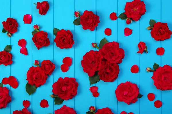Flores de rosas vermelhas em madeira azul . — Fotografia de Stock