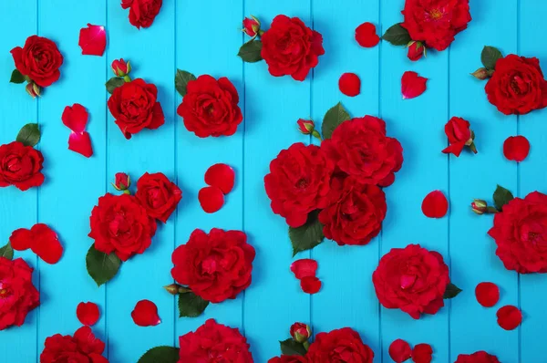 Flores de rosas vermelhas em madeira azul . — Fotografia de Stock