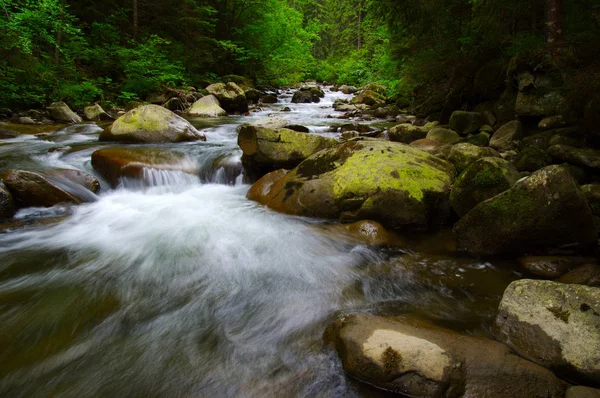 Río de montaña en el bosque verde — Foto de Stock