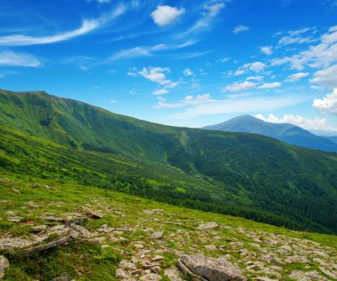 Yazın dağ manzarası