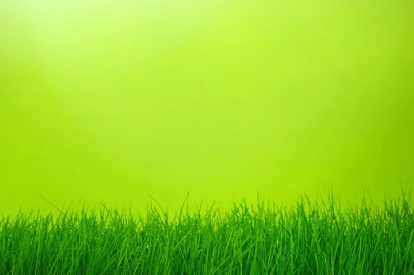 Bokeh verde — Foto de Stock