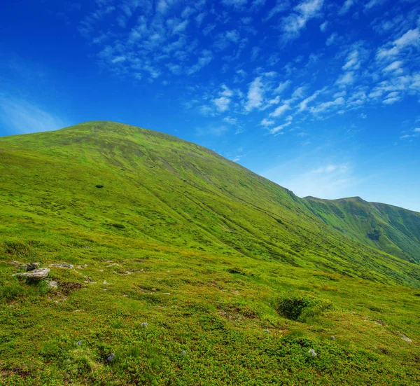 Paisaje de montaña en el verano — Foto de Stock