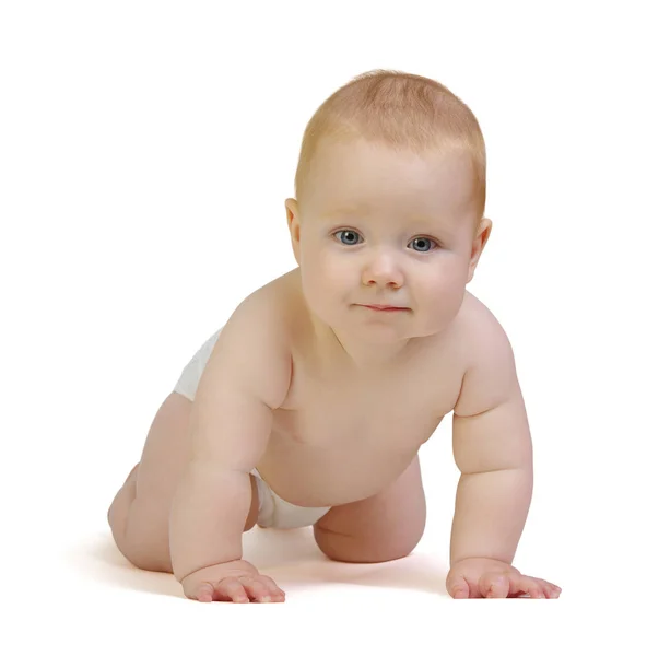 Baby on white Stock Image