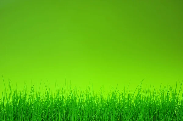 Grünes Bokeh — Stockfoto