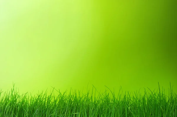 Green bokeh — Stock Photo, Image