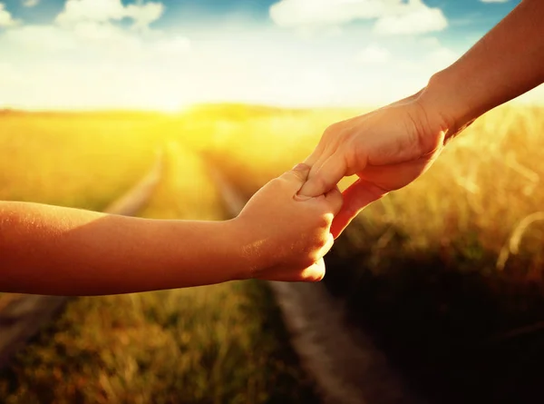 Handen houden elkaar in veld — Stockfoto