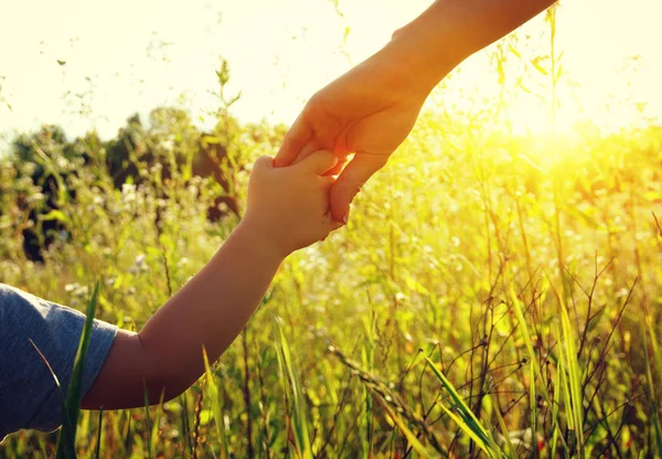 Hands of the parent and litlle child — Stock Photo, Image