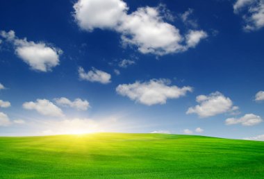 Güneş ve yeşil alan. 