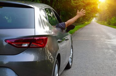 Doğada asfalt yolda araba