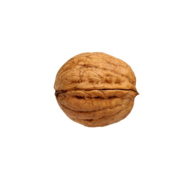 Tek ceviz beyaz izole 