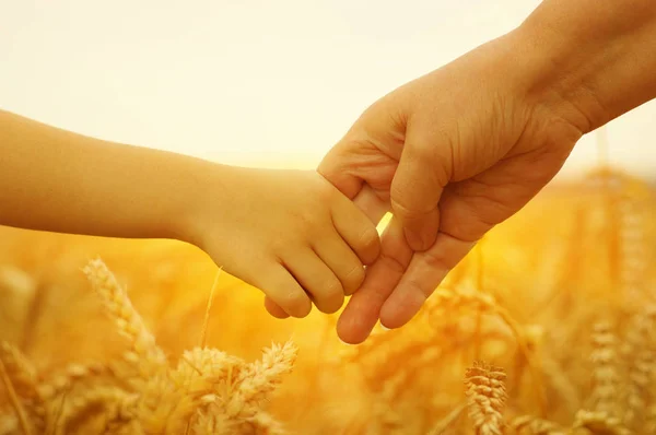 Mani di madre e figlia sul sole — Foto Stock