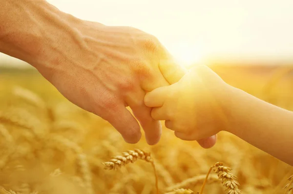 Handen van vader en dochter op de zon — Stockfoto