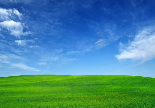 Fält och himmel — Stockfoto