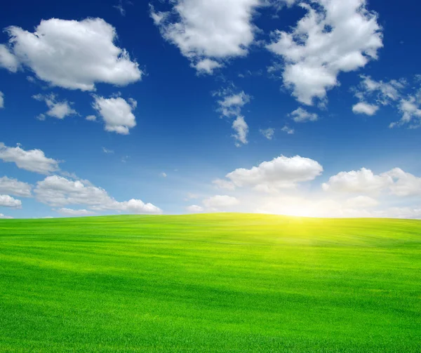 Zielone pola i słońce. — Zdjęcie stockowe
