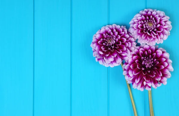 Bloemen op blauw geschilderde houten planken. — Stockfoto