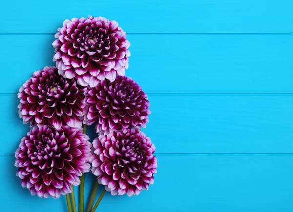 Bloemen op blauw geschilderde houten planken. — Stockfoto
