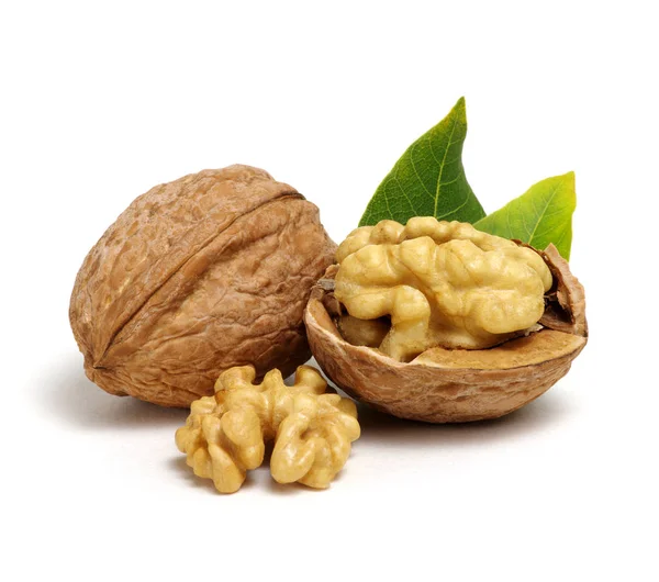 Nueces con hojas — Foto de Stock