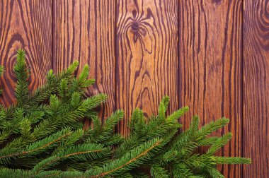 Köknar ağacıyla Noel arkaplanı. 