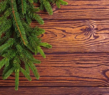  çam ağacı ile ahşap arka plan 