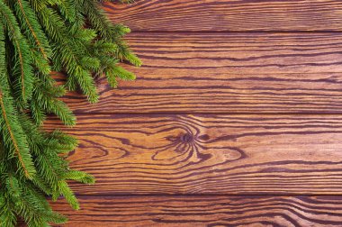 Köknar ağacıyla Noel arkaplanı. 