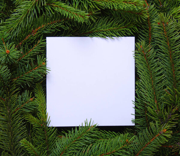  Christmas tree branches with paper card note. 