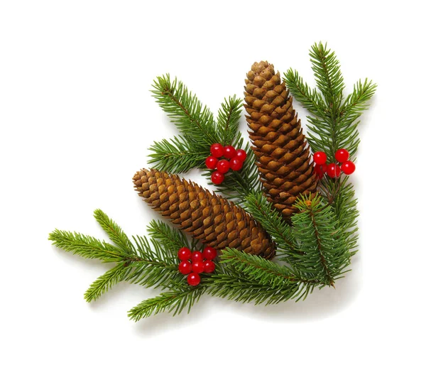 Fir branches isolated on a white background — Stock Photo, Image