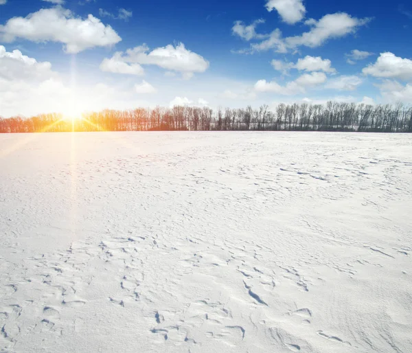 Winterlandschap en lucht — Stockfoto