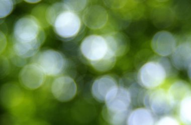 yeşil arka plan bulanık