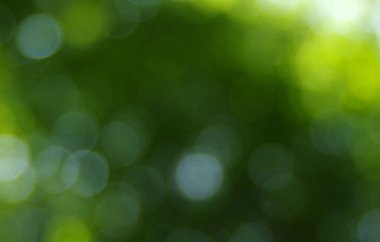 yeşil arka plan bulanık