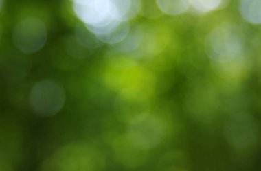 yeşil arka plan bulanık