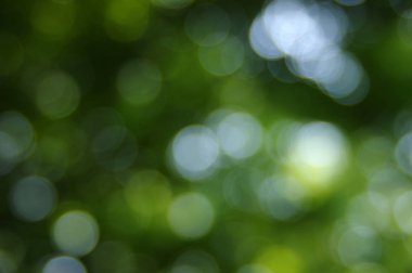 yeşil arka plan bulanık