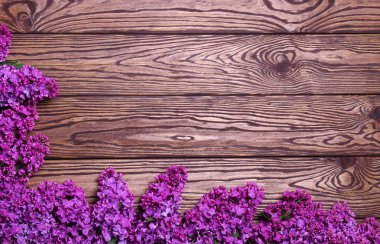 eski bir ahşap üzerine Eflatun çiçekler