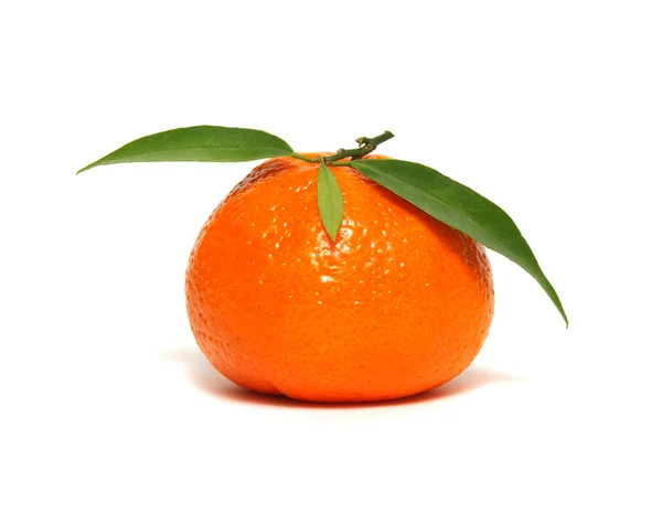 Tangerine or clementine — Stock Photo, Image