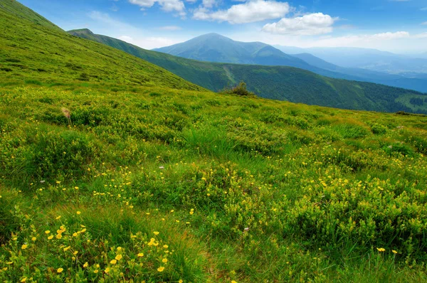 여름의 산악 지대 — 스톡 사진