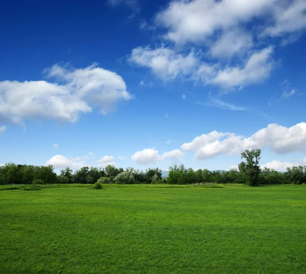 Paysage de montagne avec soleil — Photo