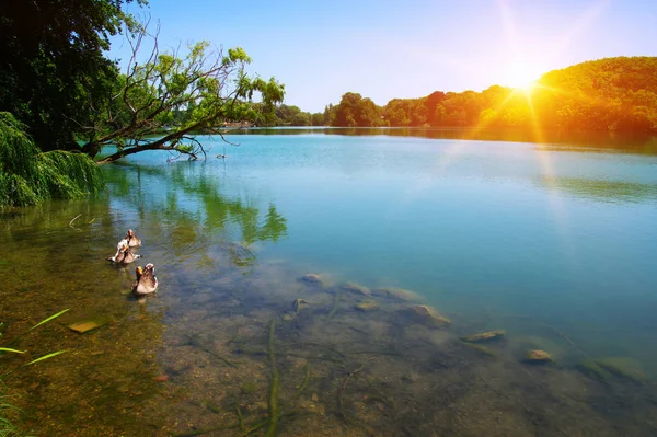 Lake water and sun — Stock Photo, Image