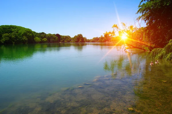 Lake water and sun — Stock Photo, Image
