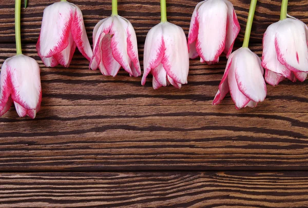 Bei tulipani rosa su sfondo di legno — Foto Stock