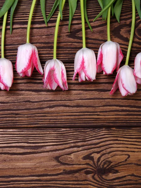 Tulipani su tavolo di legno — Foto Stock