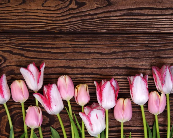 Vackra rosa tulpaner på trä bakgrund — Stockfoto