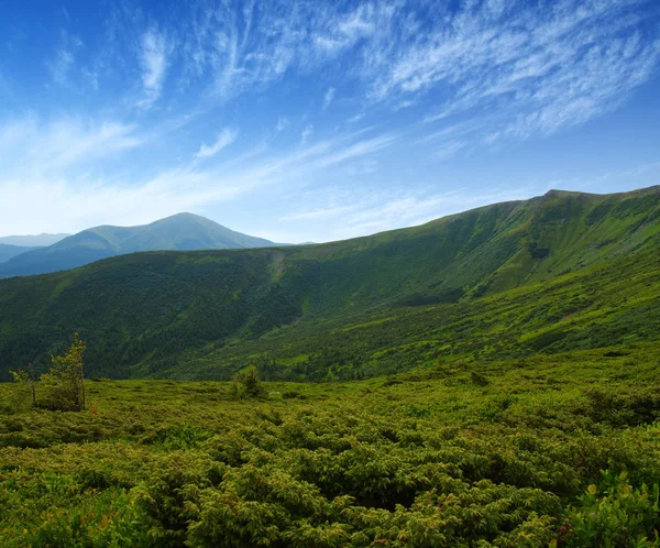 Paisaje de montaña en verano — Foto de Stock