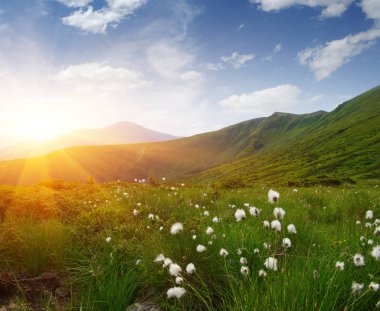Güneşte dağ manzarası