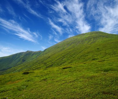 Yazın dağ manzarası