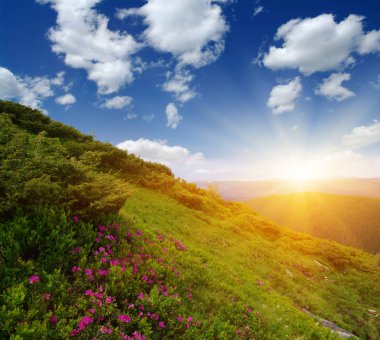 Güneşte dağ manzarası