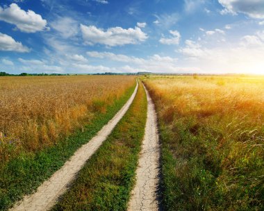 yol alanında 